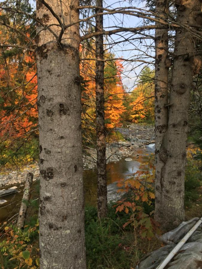 Inn By The River Hardwick Bagian luar foto